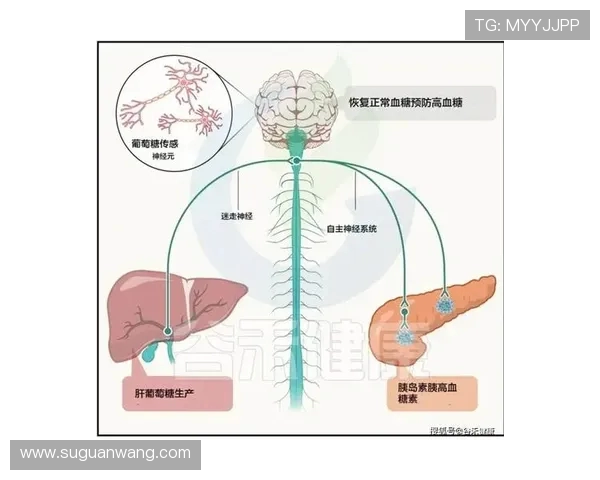 《德甲球队之间的关系网络与竞技历史恩怨梳理》