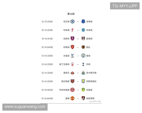 今年英超联赛有哪些新晋球队及其升班马表现预测