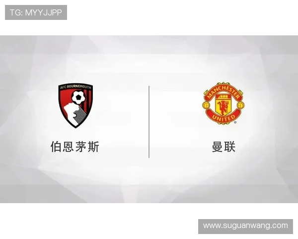 伯恩茅斯是否为英超球队及其联赛历程解析