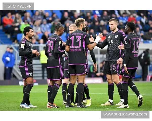 德甲足球俱乐部完整球队名单总览