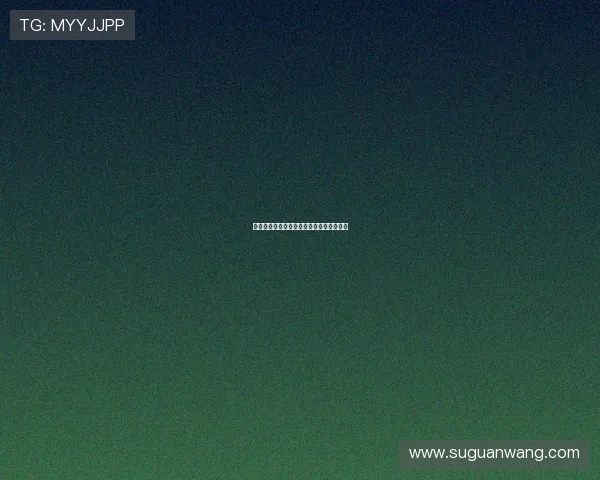 火箭队今天发布的最新新闻及球队动态汇总